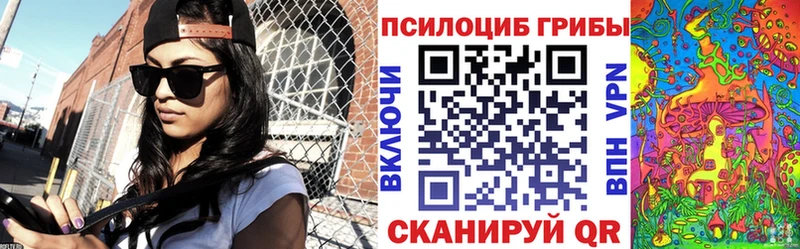 наркошоп  Пойковский  Псилоцибиновые грибы Psilocybe 